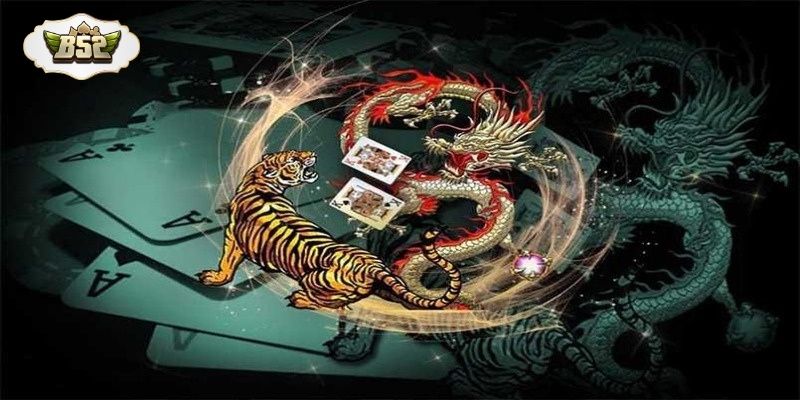 Rồng Hổ phù hợp cho cả người mới lẫn người đã có kinh nghiệm